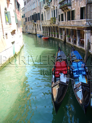Gondole along the Grand Canal in Venice
